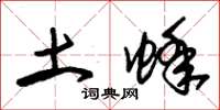 朱锡荣土蜂草书怎么写