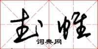 朱锡荣武帷草书怎么写