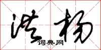 朱锡荣洪杨草书怎么写