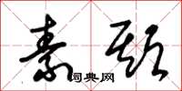 朱锡荣素期草书怎么写