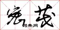 朱锡荣密茂草书怎么写