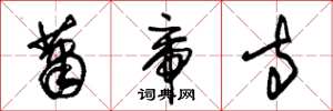 朱锡荣萧帝寺草书怎么写