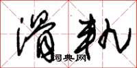 朱锡荣滑轨草书怎么写