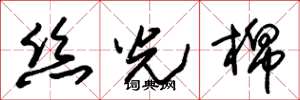 朱锡荣丝光棉草书怎么写