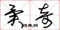 朱锡荣异奇草书怎么写
