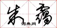 朱锡荣朱霭草书怎么写