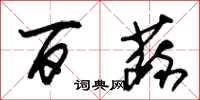 朱锡荣百蔬草书怎么写