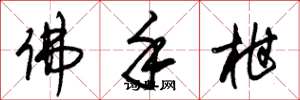 朱锡荣佛手柑草书怎么写