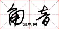 朱锡荣角音草书怎么写