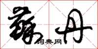 朱锡荣苏丹草书怎么写
