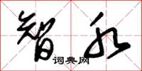 朱锡荣智水草书怎么写