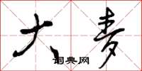 曾庆福大麦草书怎么写