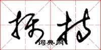 朱锡荣摄持草书怎么写