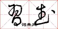 曾庆福习武草书怎么写