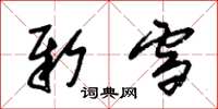 朱锡荣新雪草书怎么写