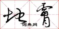 曾庆福地肤草书怎么写