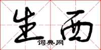 曾庆福生西草书怎么写