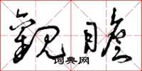 曾庆福观瞻草书怎么写