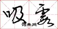 曾庆福吸霞草书怎么写