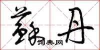 曾庆福苏丹草书怎么写