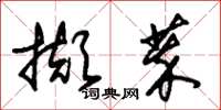 朱锡荣撷萃草书怎么写