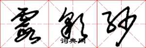 朱锡荣霞彩纱草书怎么写