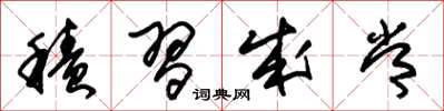朱锡荣积习成常草书怎么写
