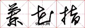 朱锡荣兰花指草书怎么写