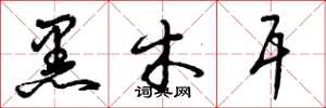 曾庆福黑木耳草书怎么写