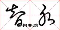 曾庆福智水草书怎么写