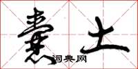 曾庆福囊土草书怎么写