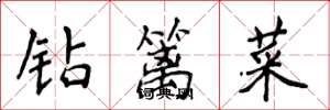 侯登峰钻篱菜楷书怎么写