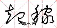 曾庆福起稼草书怎么写