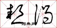 曾庆福热渴草书怎么写