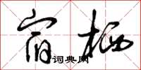 曾庆福宿栖草书怎么写