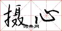 钱沛云摄心行书怎么写