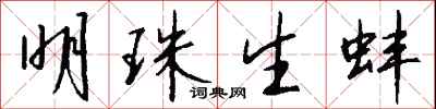 钱沛云明珠生蚌行书怎么写