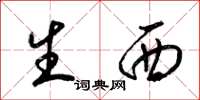 梁锦英生西草书怎么写