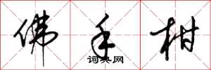 梁锦英佛手柑草书怎么写