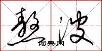 梁锦英熬波草书怎么写