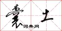 梁锦英囊土草书怎么写