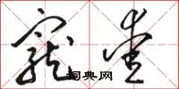 骆恒光宠爱草书怎么写