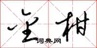 梁锦英金柑草书怎么写