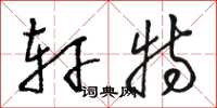 骆恒光轩特草书怎么写