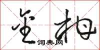 骆恒光金柑草书怎么写