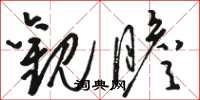 骆恒光观瞻草书怎么写