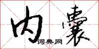 钱沛云内囊行书怎么写