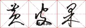 骆恒光黄皮果草书怎么写