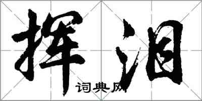 胡问遂挥泪行书怎么写