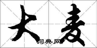 胡问遂大麦行书怎么写